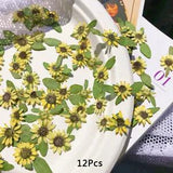 12PCS Pressed Dried Flowers Mini Sunflower Epoxy Resin Art Jewelry Making Craft