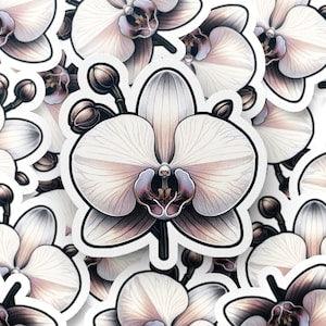 White Orchid Flower Sticker