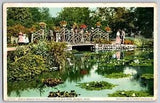 Detroit, MI - Rustic Bridge & Lily Pond at Belle Isle Park - Vintage Postcard