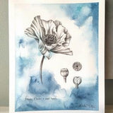 Poppy flower and seed heads - an original painting by artist Kristen Johns, 8x10 inch, watercolour & graphite, for the nature and art lover
