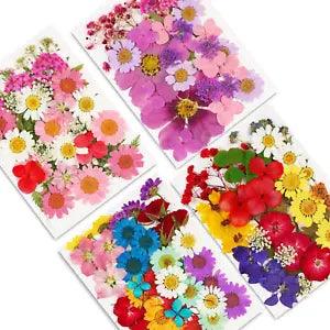 Dried Pressed Flowers,141Pcs Augshy Natural Dried Flowers for Resin Molds Real P
