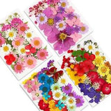 Dried Pressed Flowers,141Pcs Augshy Natural Dried Flowers for Resin Molds Real P