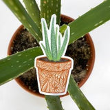 Aloe Vera Plant Sticker - Waterbottle Sticker - Laptop Sticker - Plant Sticker - Weatherproof Sticker - Plant Lover - GraceandGloriaCo