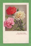 ca1930 white red rose Dianthus carnation pink sweet William flower Birthday Gree