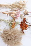 Dried Flower arrangements - Darling Darleen | A Lifestyle Design Blog Flower Delivery