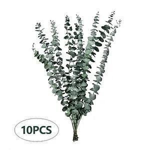 Leaf Dried Flower Bouquet Natural Air Dried Branches Light Luxury Creative