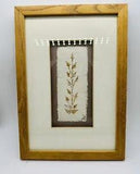 Vintage Pressed Flowers Framed Art - Signed & Dated 1999