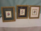 Mini Elegant Botanical Pictures Dried Flowers Set of 3 About 7 ins by 6 ins