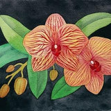 Orchid Painting Flower Original Art 9,5
