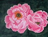 Pink Peony Hand Painted Acrylic Painting on Stretched Canvas - 8 x10 inches?