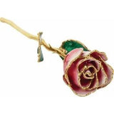 Frozen Red White Laquered Real Rose 24K Gold Plated Trimmed Great Gift