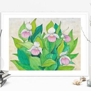 Showy Lady Slipper, Print of Original Watercolor, Unique Orchid Flower