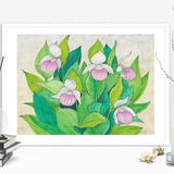 Showy Lady Slipper, Print of Original Watercolor, Unique Orchid Flower