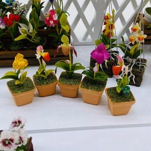 5 pieces Miniature Lady's Slipper polymer clay, Miniature pot, Dollhouse Flower,Miniature Garden
