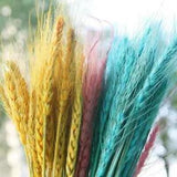 25pcs Stems Dried Wheat/rye Bunch Wedding Flowers Arranging Christmas BEST M8Y1