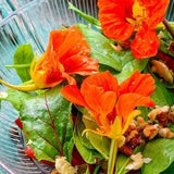 Beautiful Edible Flowers Mix 1 Gram Seeds
