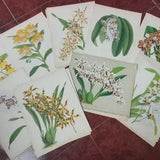 REDUCED: Original John Nugent Fitch hand painted Orchid lithographs