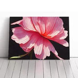 Splendorous Carnation Flower Canvas Print Wall Art Framed Picture Large