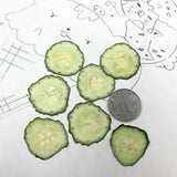 10pcs Dried Pressed Vegetable Cucumber Slices For Jewellery Photo Frame...