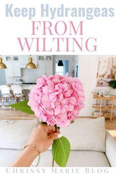 How I Keep Cut Hydrangeas From Wilting | Chrissy Marie Blog Flower Delivery