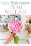How I Keep Cut Hydrangeas From Wilting | Chrissy Marie Blog Flower Delivery