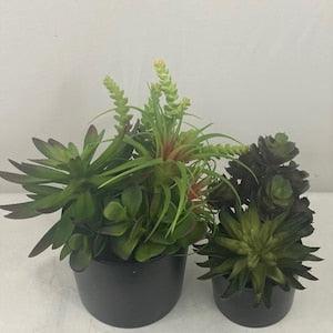 Artificial Succulent Garden (Set of 2)