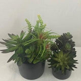 Artificial Succulent Garden (Set of 2)