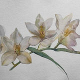 Orchid Painting Flower Original Art Floral Artwork Orchid Artwork Flowers Artwork Floral Painting Watercolor 10  by 14
