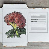 Hundreds of Celosia/cockscomb seeds 