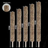 Extendable self watering sphagnum moss 60cm pole