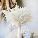 1 Bunch 43cm Small Reed Immortalized Flower Bouquet DIY Decoration Coffee White