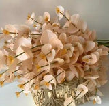 AUSTRALIAN NATIVE FLOWER GUM STEM ARTIFICIAL DRIED FAKE FLOWERS BLUSH WEDDING
