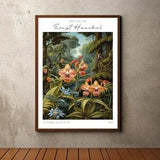 Ernst Haeckel Inspired Print Poster, Tropical Jungle, Wildlife Art, Botanical Wall Art, Floral Illustrations, Jungle Print, Orchid Art Print