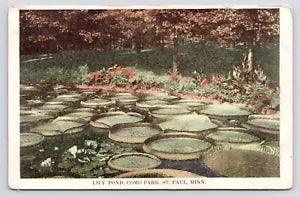 NEW LISTING1900s~Como Park~Historic Lily Pond~St. Paul Minnesota MN~Antique Postcard