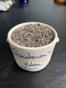 gardeners eden lavendar flowers of france 1oz of lavendar