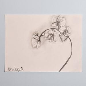 Original ???Orchid Study??? Graphite Drawing on 12x9 Fine Art Paper