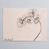 Original ???Orchid Study??? Graphite Drawing on 12x9 Fine Art Paper
