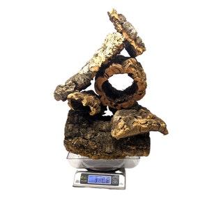 3 Pound FLATS Box of Virgin Cork Bark - for Orchids, Airplants, Reptiles, and Terrariums
