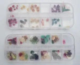 Dried Flowers For Crafts Art DIY Projects Assorted Flowers Pack Of 2