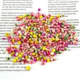 140PCS Real Dried Flowers For Art Craft Epoxy Resin Jewellery Candle Making B0S1