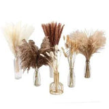 100Pcs Dried Pampas Grass Decor,Natural Home Decor, Phragmites Dried Flowers,