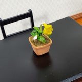 Dollhouse Cup Orchid Yellow Plant in Terra Cotta Planter 1:12 Scale Miniature Decor