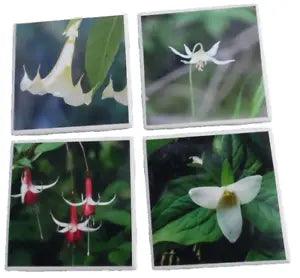 4 coaster tile trivet cork back flower photos Trillium Lily Trumpet Fuchsia 4" W