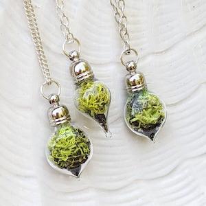 Terrarium Necklace, Tiny Forest Moss Necklace, Glass Moss Pendant Necklace, Green Plant Necklace, Tiny Glass Moss Necklace, On Sale Gifts