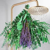 Mix Dried Eucalyptus Stems & Lavender for Shower, 17'' Eucalyptus Plant Live, Re