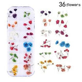 36PCS Real Pressed Dry Mixed flowers with stem collection, 12 colors FCD504 #14