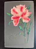 Vintage Victorian Postcard 1901-1910 Loving Greetings - Pink Velvet Carnation