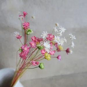100 Pcs Natural Floral for Decoration Decorative Flowers Mini