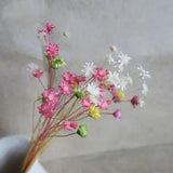100 Pcs Natural Floral for Decoration Decorative Flowers Mini