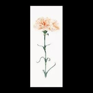 oop Thea Gouverneur cross stitch kit 468 Carnation Peach